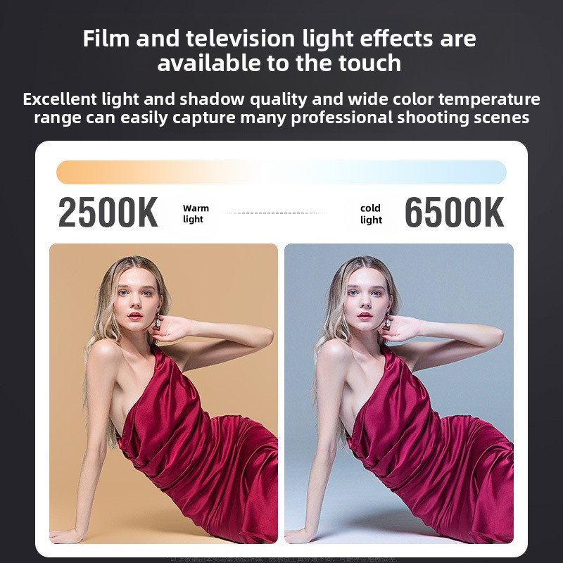 ZU80 High-Power COB Fill Light - Photography Of The Year avaliação e preço