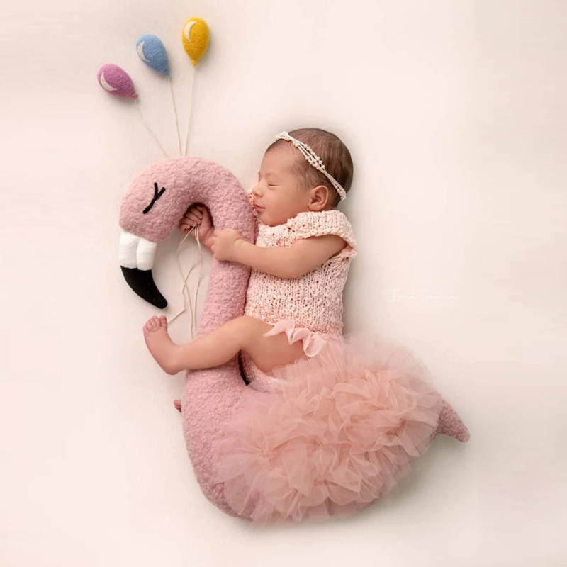 Flamingo Style Newborn Photogr - Photography Model avaliação e preço