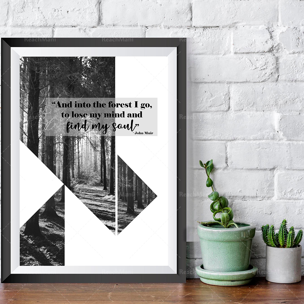 Black and white forest prints/ - Photography Quotes Inspirational avaliação e preço